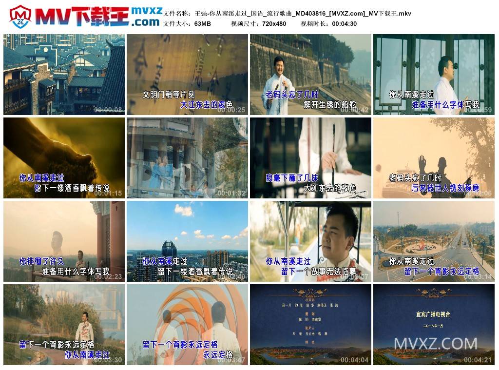王强-你从南溪走过_国语_流行歌曲_MD403816